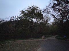 -青龙山国家森林公园