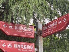 -洛阳白马寺