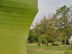 -杭州植物园