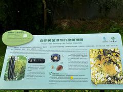 -广州雕塑公园