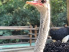 -三亚蜈支洲岛旅游区