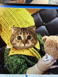 -哈尼Honey baby 儿童摄影(立丰国际公寓店)