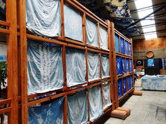 -璞真扎染博物馆