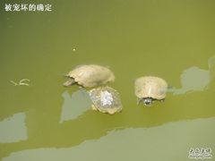 -莆田南少林寺