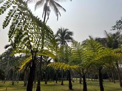 -中国科学院西双版纳热带植物园