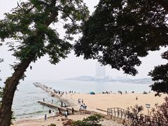 -八大关景区