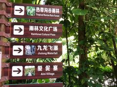-西双版纳原始森林公园