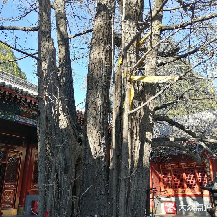 京西古刹八大处
