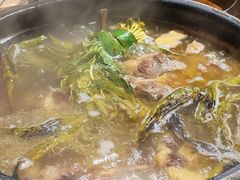 -毛辣果·酸(OHA复兴西路店)