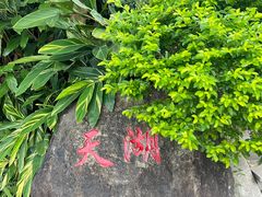 -广州市帽峰山景区