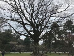 -京都御所