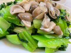 草菇盖菜-马凯餐厅(长椿街店)