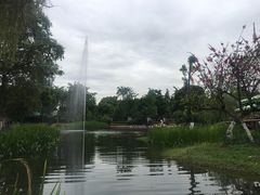 -成飞公园
