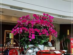 -南宁红林大酒店