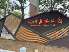 -风云岭森林公园