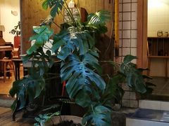 -懒鱼时光馆(沙坪坝店)