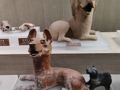 -中国农业博物馆