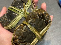 -品鲜村农家菜·阳澄湖大闸蟹(总店)