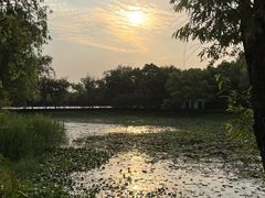 -西溪国家湿地公园