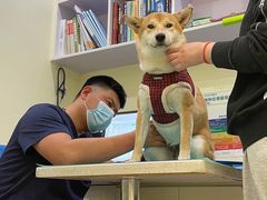 -美迦爱-牙专科·兔科·骨科诊疗中心(北苑店)
