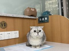 -联合动物医院(光谷诊疗中心)