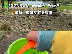 -茅家埠