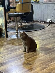 -青木造型HAIR·あおき髪を刈る潮人店