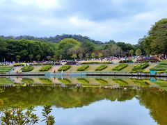 -东莞植物园
