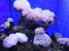 -多彩贵州城极地海洋世界