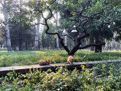 -天坛东门(地铁站)