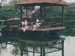 -驿舍·民國老营房院子私房菜(科学会堂店)