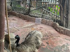 -长鹿旅游休博园
