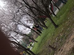 -蜀冈西峰生态公园