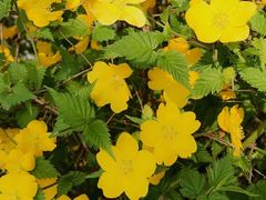 -白塘生态植物园