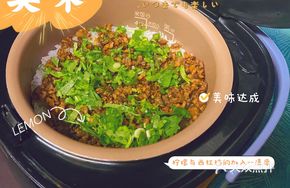 Stewed Pigeon Meat Fried Rice