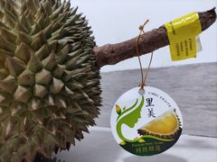-AEON永旺(东方宝泰店)