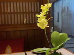 -一叶一世界•素食餐厅(环球中心店)
