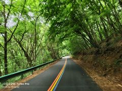 -五女峰国家森林公园