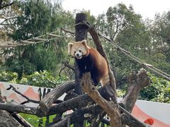 -杭州少年儿童公园