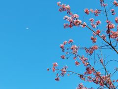 -乌山风景区