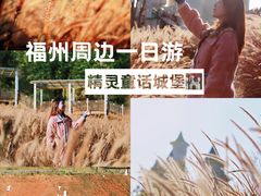 -瓷天下海丝谷