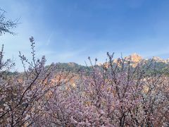 -崂山九水游览区