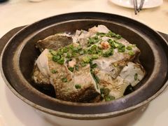 黑豆腐煲-世纪渔港