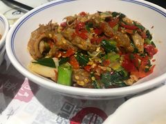-壹盏灯(惠农店)