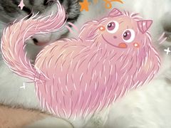 -罗妈砂锅(四川成都奎星楼店)