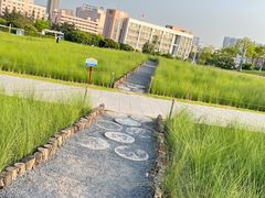 -红花山公园