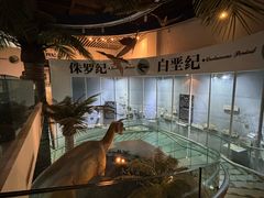 -烟台自然博物馆