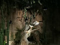 -zoonana室内动物园(东方福来德店)