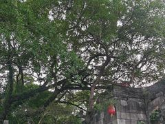 -桂林独秀峰王城景区