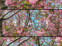 -阳澄湖半岛旅游度假区